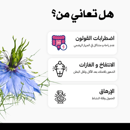 زيت الحبة السوداء النقي - clinicminute