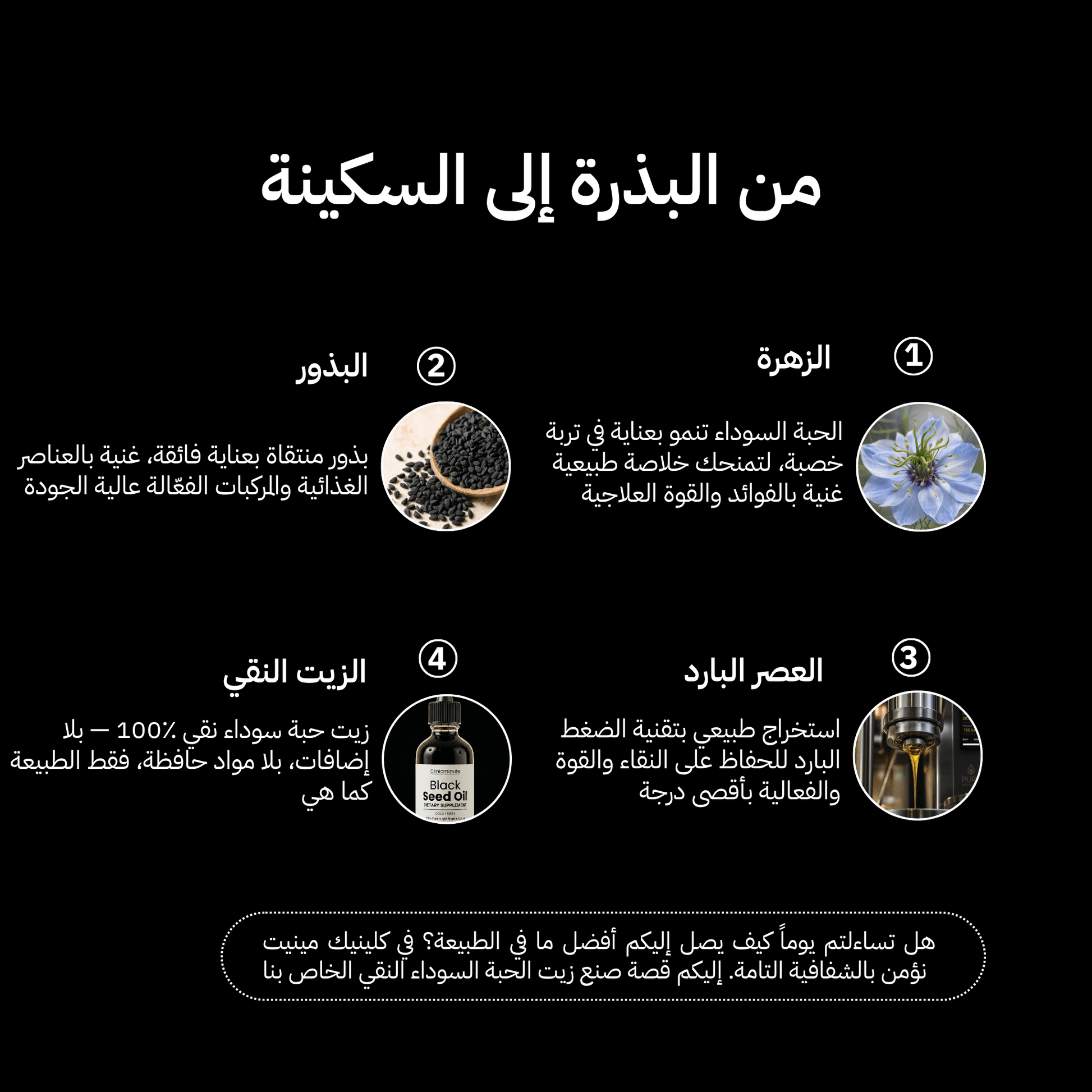 زيت الحبة السوداء النقي - clinicminute